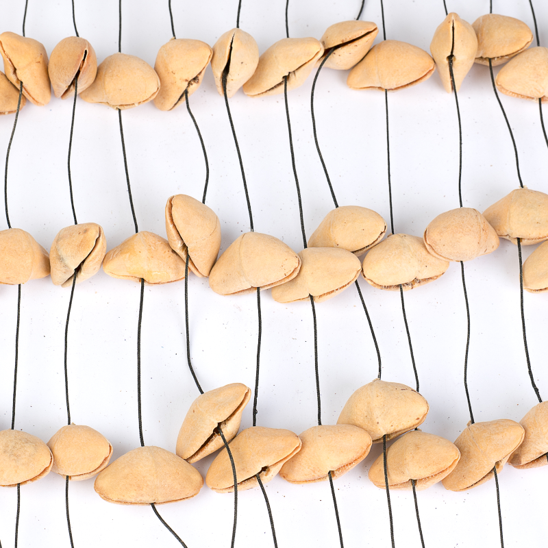 Sela SESDC1 Sela Seed Chime Kenari