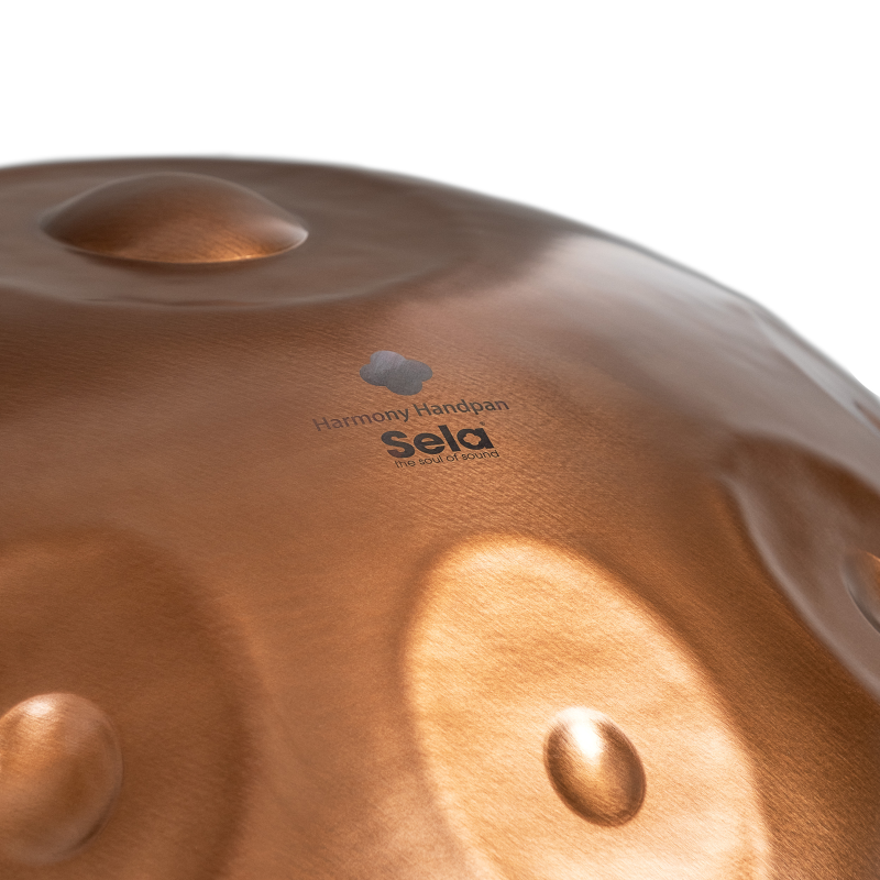 Sela SE-320 Harmony Handpan D Kurd 10 Phoenix Steel