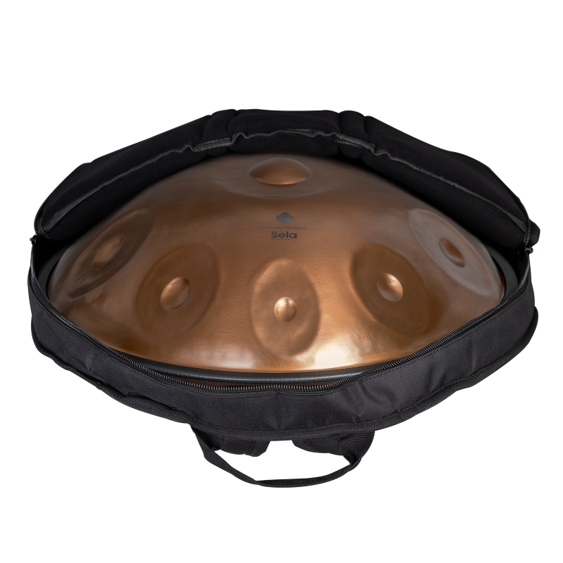 Sela SE-320 Harmony Handpan D Kurd 10 Phoenix Steel