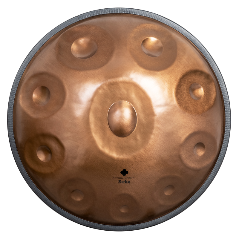 Sela SE-321 Harmony Handpan D Amara 10 Phoenix Steel
