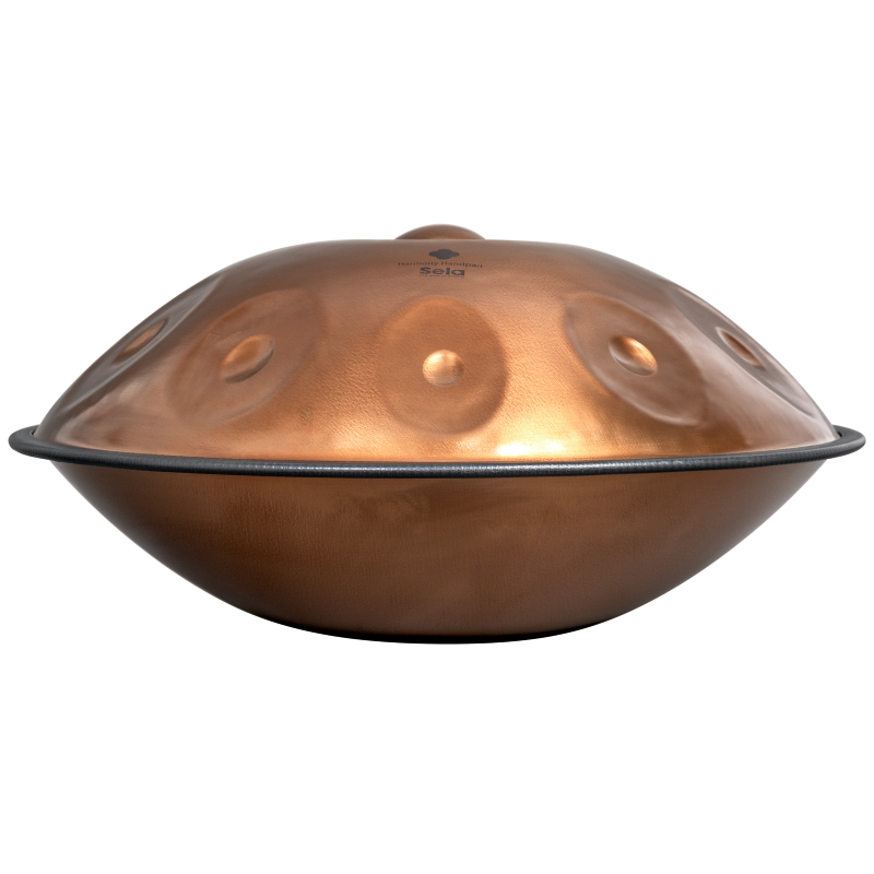 Sela SE-321 Harmony Handpan D Amara 10 Phoenix Steel