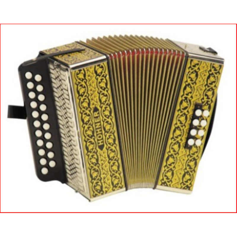 Hohner Fisarmonica Diatonica 21 bottoni, 8 bassi