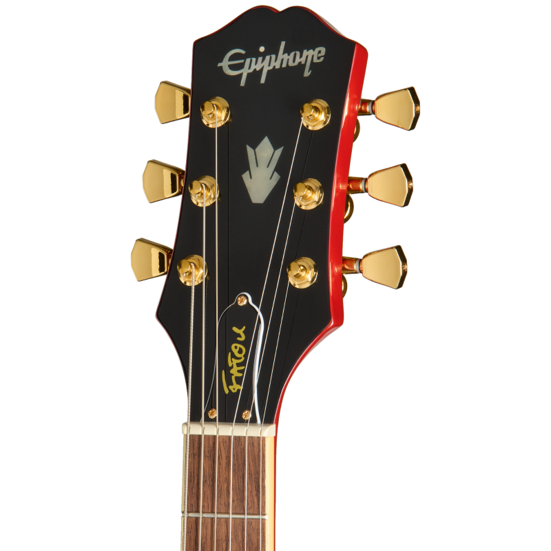 EIFDSGMGH1_24041526413_5_Headstock