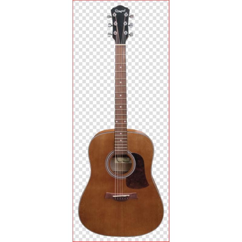 CAMWOOD IW-240MNS Chitarra Acustica Dreadnought