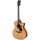 Eastman AC122-2CE  
