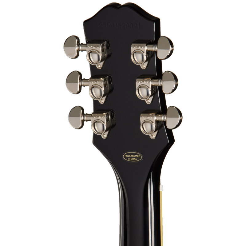 EIGSGSEBNHR_25041520921_6_BackHeadstock