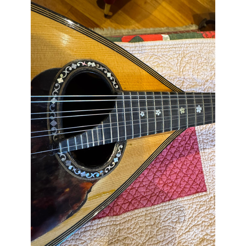 usato Luigi Embergher Mandolino NR.3 del 1921