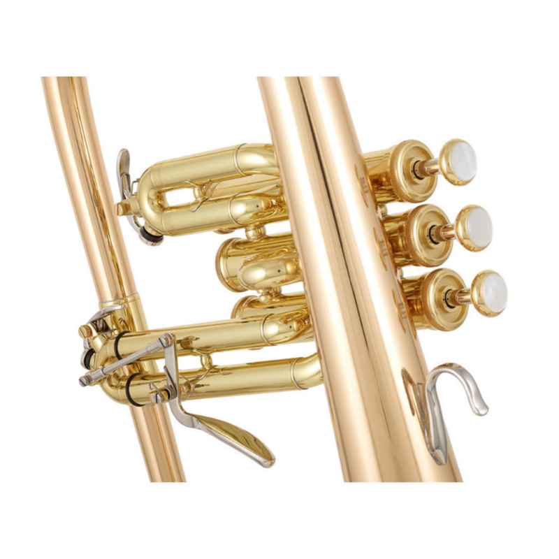 YAMAHA YFH8310ZG Flicorno professionale in Sib