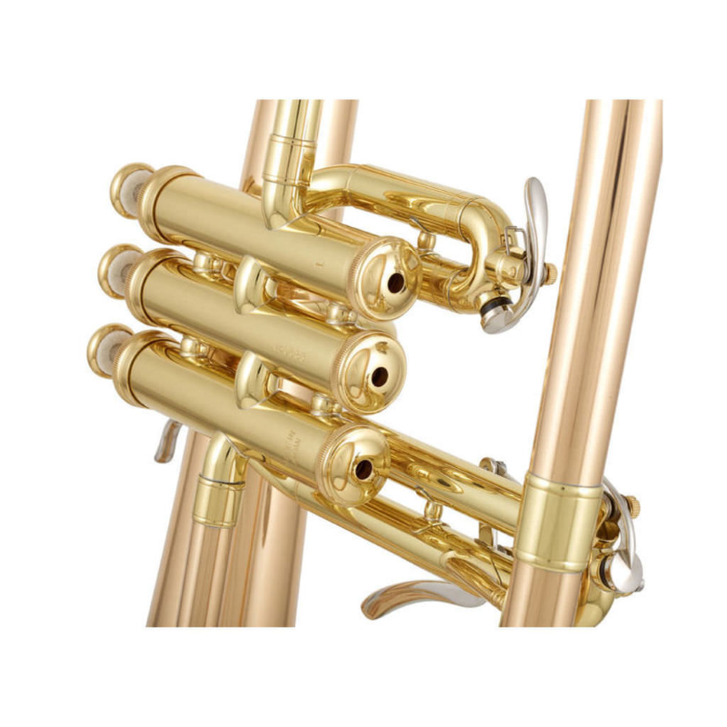 YAMAHA YFH8310ZG Flicorno professionale in Sib