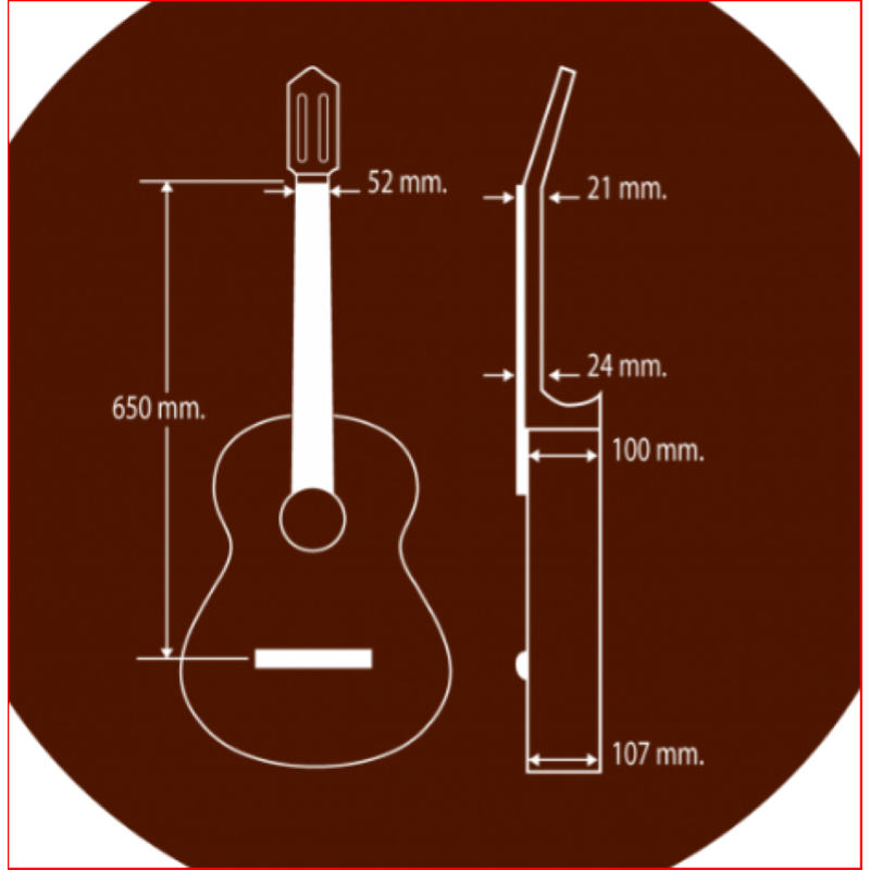 Paco Castillo 205 chitarra classica palissandro massello. 20 Tasti