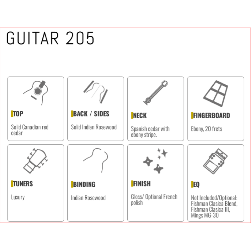 Paco Castillo 205 chitarra classica palissandro massello. 20 Tasti