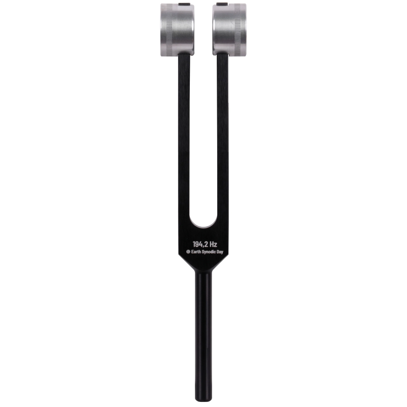 Schlagwerk PTF-DY - Power Tuning Fork - Earth Year 194,2 Hz