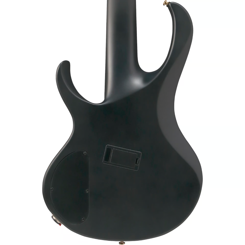 Ibanez BTB605LMBKF El Bass 5St