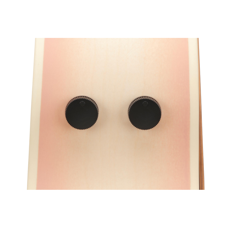 Ibanez AAM370M2EAPF Transp. Antique White Peach Fuzz Open Pore