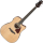 Ibanez AAD51CE-NT Chitarra Western Natural High Gloss