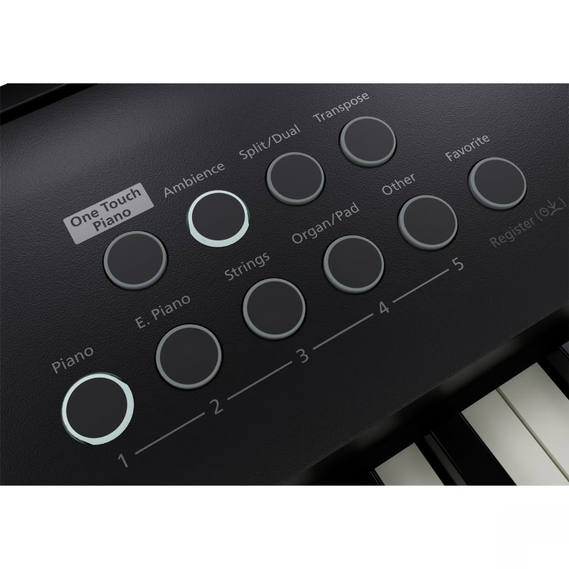 Roland FP-E50 Pianoforte Digitale Portatile con Potenti Funzionalità di Intrattenimento