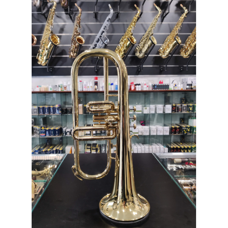 usato Amati AFH-201 Flicorno Soprano Laccato                                       