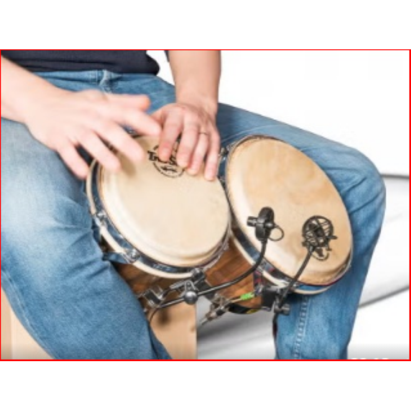 Audio design Pa MHP Microfono per HandPan, Congas, Bonghi,  Incluso adattatore XLR 