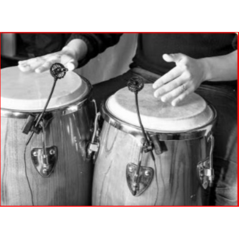 Audio design Pa MHP Microfono per HandPan, Congas, Bonghi,  Incluso adattatore XLR 