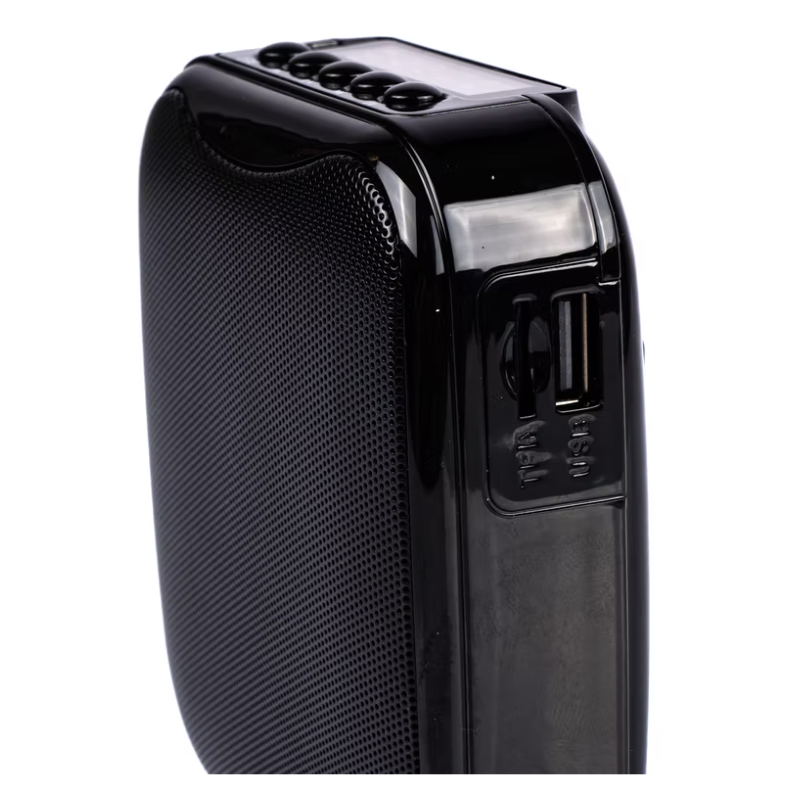 Audio design PA W-WL Amplificatore per Voce con microfono e filo wireless 