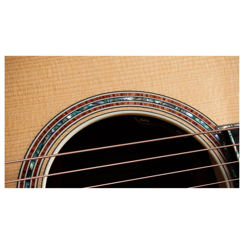 Taylor Gold Label 914e Honduran Rosewood, Natural