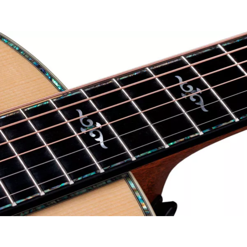 Taylor Gold Label 914e Honduran Rosewood, Natural