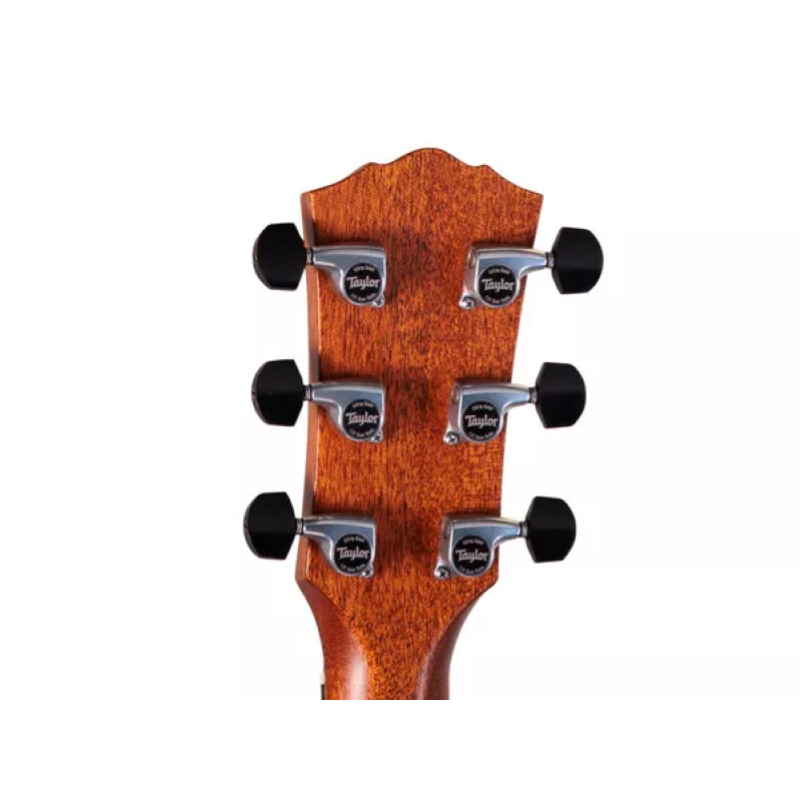 Taylor Gold Label 817e Honduran Rosewood Natural 