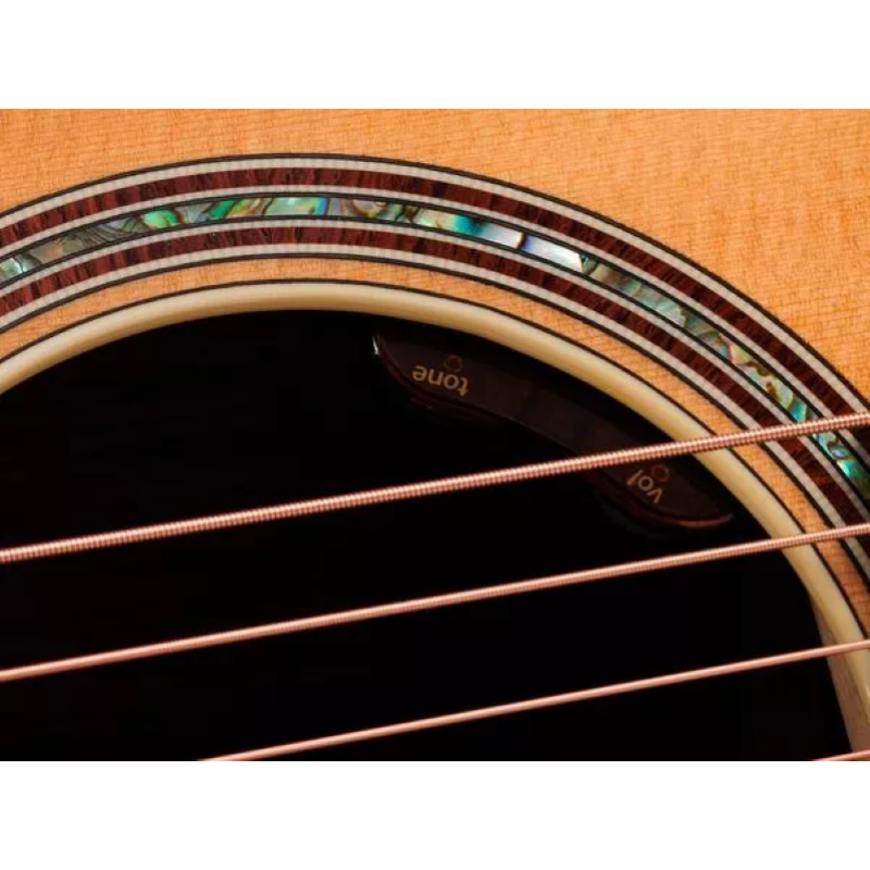 Taylor Gold Label 817e Honduran Rosewood Natural 