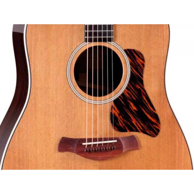 Taylor Gold Label 710e,Indian Rosewood/Torrefied Sitka