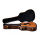 Taylor Gold Label 710e,Indian Rosewood/Torrefied Sitka