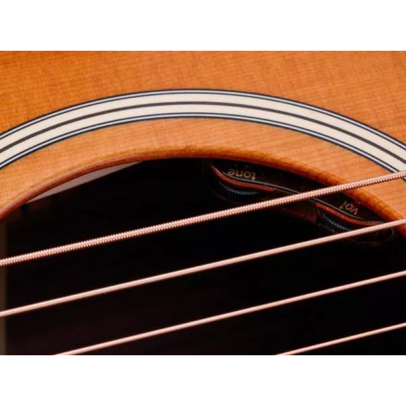 Taylor Gold Label 714e SB,Ind.RW/Torr.Sitka, Firestripe PG Sunburst