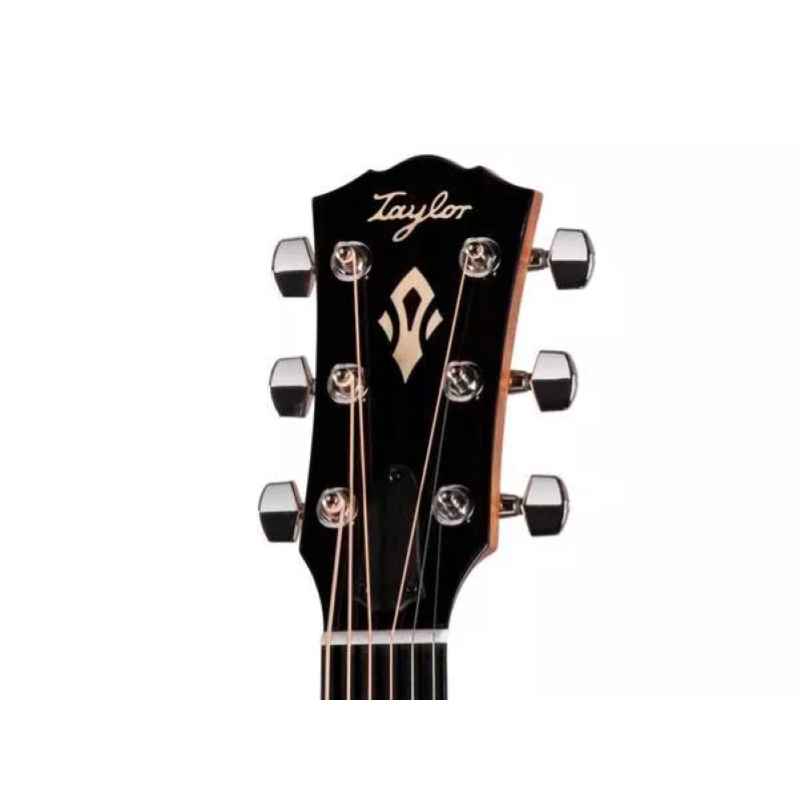 Taylor Gold Label 717e Natural, Indian RW/Torr.Sitka