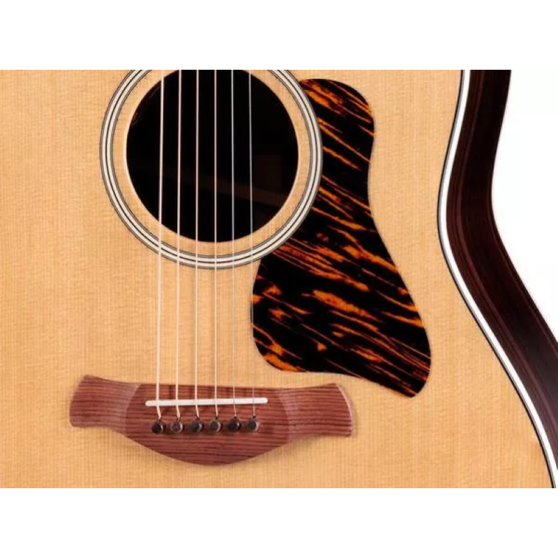 Taylor Gold Label 717e Natural, Indian RW/Torr.Sitka