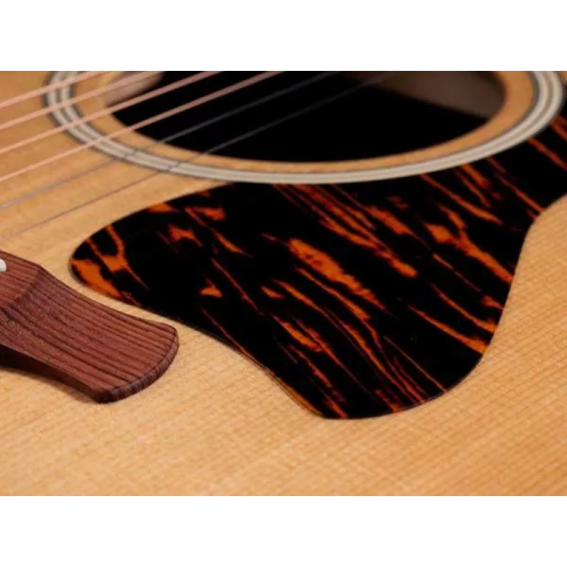 Taylor Gold Label 717e Natural, Indian RW/Torr.Sitka