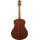 Ibanez AAM100ENT Natural High Gloss Chitarra Acustica Elettrificata