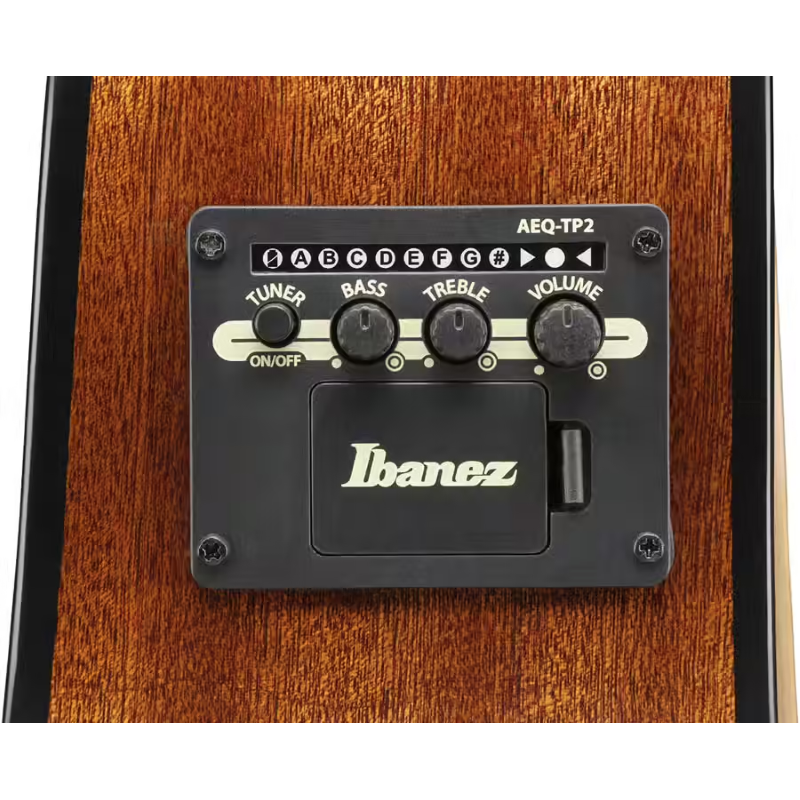 Ibanez AAM100ENT Natural High Gloss Chitarra Acustica Elettrificata