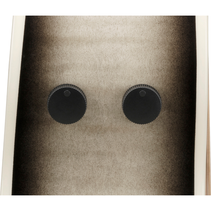 Ibanez AAM370M1CETPA Transparent Panda Chitarra Acustica Elettrificata