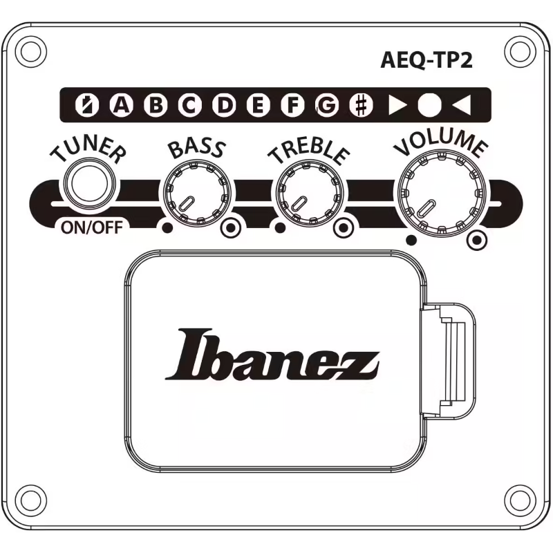 Ibanez AE170TBK Transparent Black Chitarra Acustica Elettrificata