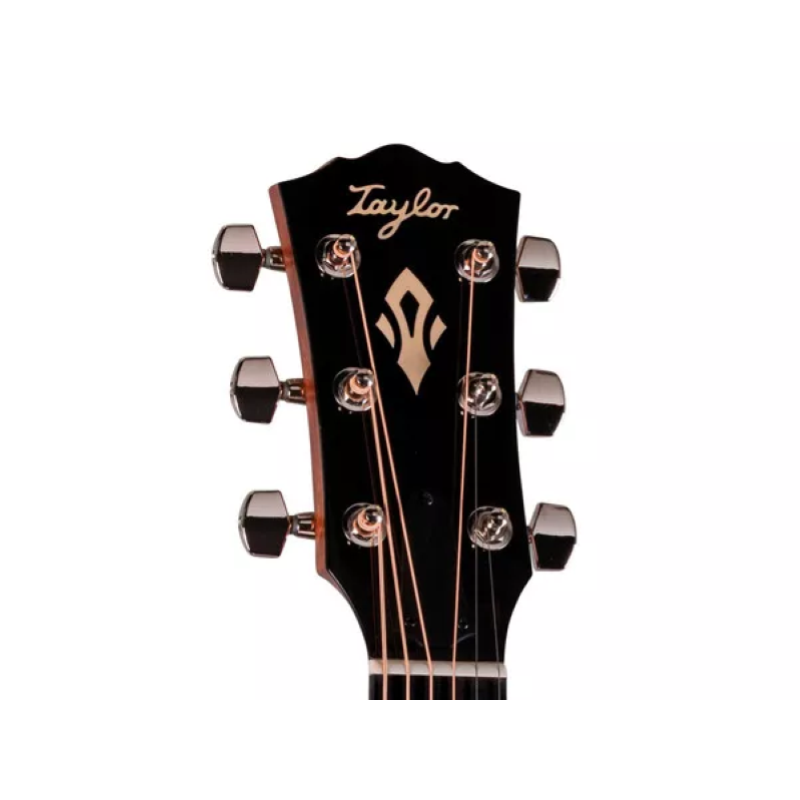 Taylor Gold Label 514e SB,Mahg./Tor.Sitka, Cream PG