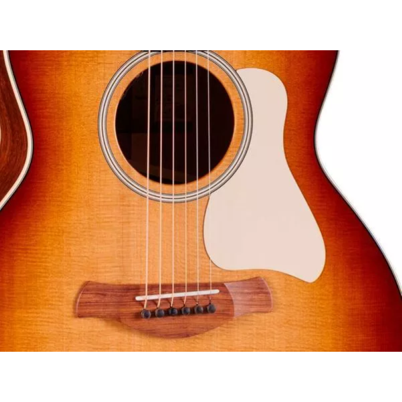 Taylor Gold Label 514e SB,Mahg./Tor.Sitka, Cream PG