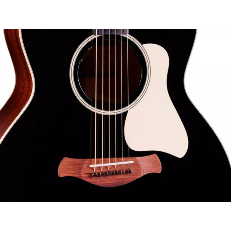 Taylor Gold Label 514e Blacktop Cream Pickguard, Mahg/Tor.Sitka