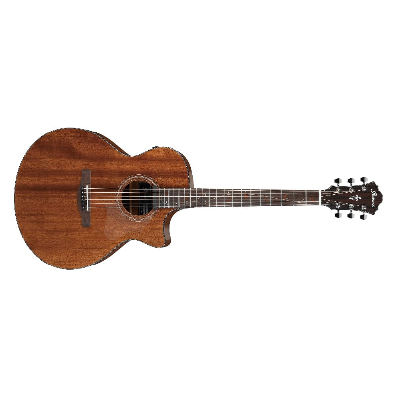 Ibanez AE295LTDNT limited special model