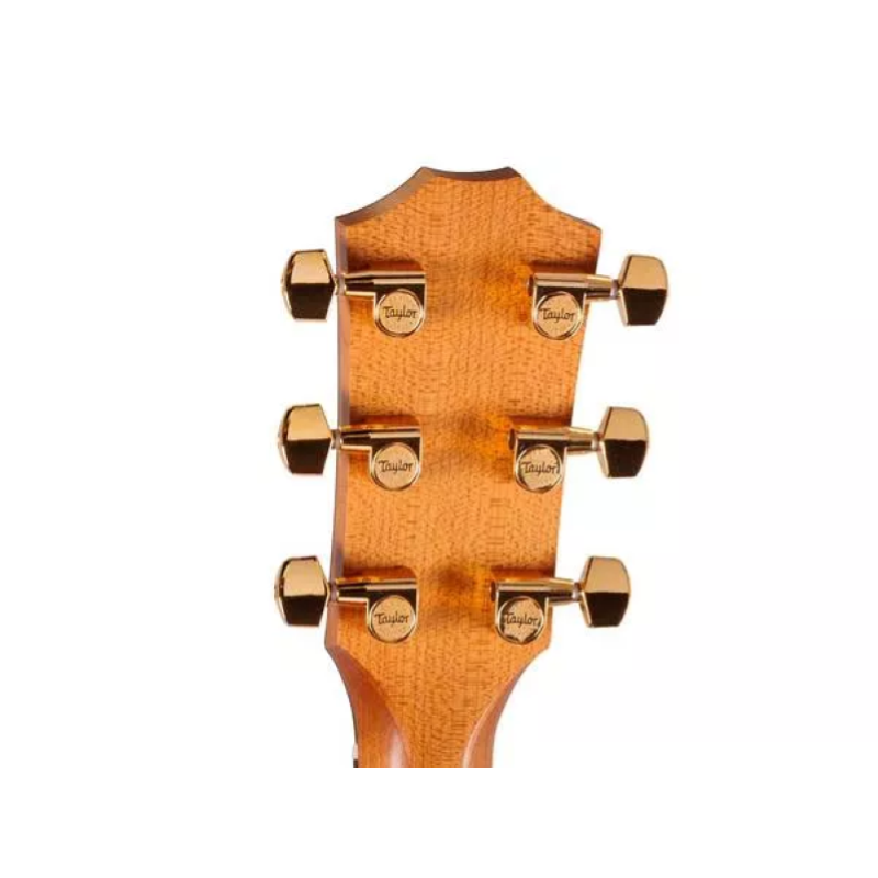 Taylor Sunset Blvd 117e SEB Burst