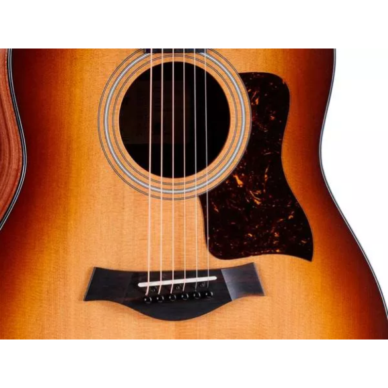 Taylor Sunset Blvd 117e SEB Burst