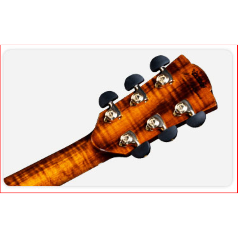 MERIDA DTJC-EQ Chitarra Jumbo+EBS-VTC