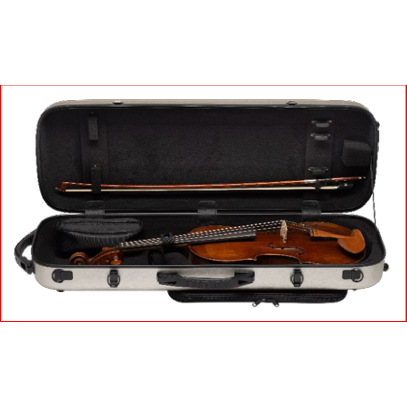 Eastman CAVA30 BLK Astuccio Viola 4/4 Nero Carbonio Rettangolare