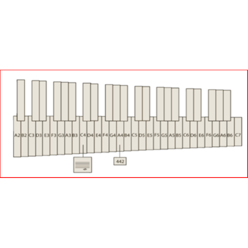 VANCORE Marimba PSM 501 A2-C7 Padouk 4.3 ottave, mm.65-40 