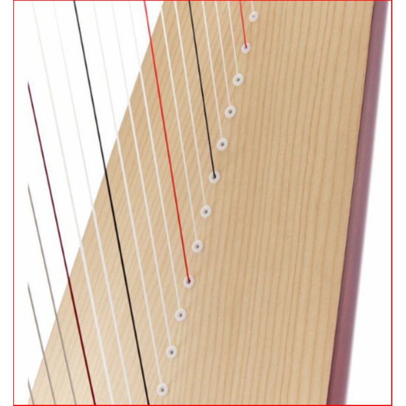 Salvi TITAN arpa celtica 38 corde Biocarbon, con Copertura in Tessuto