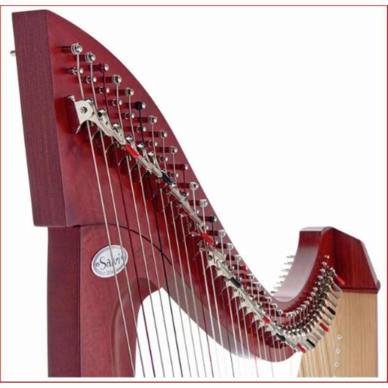 Salvi TITAN arpa celtica 38 corde Biocarbon, con Copertura in Tessuto