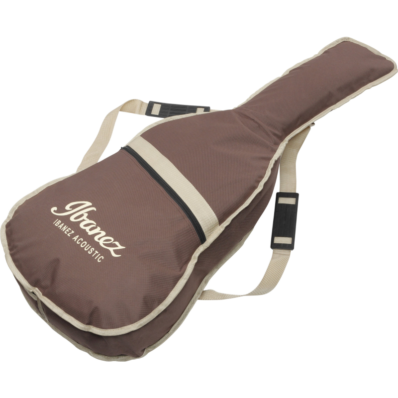 Ibanez AE300ZRJRNT Natural High Gloss